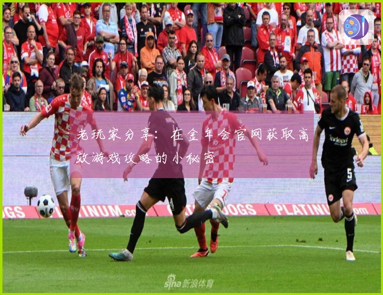 老玩家分享：在金年会官网获取高效游戏攻略的小秘密