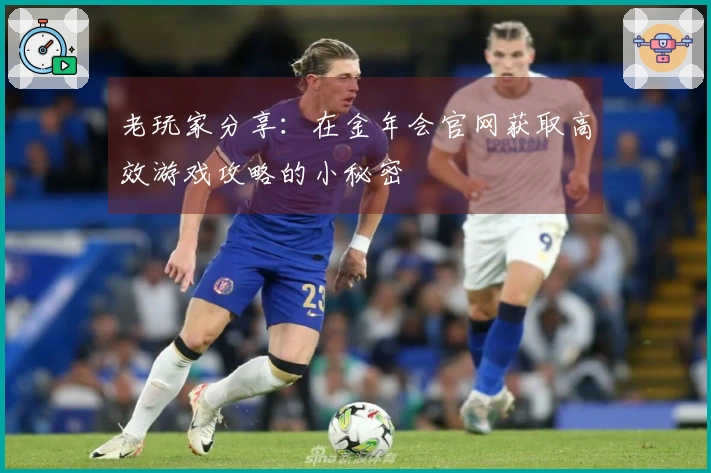 老玩家分享：在金年会官网获取高效游戏攻略的小秘密