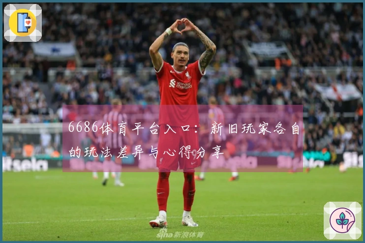 6686体育平台入口：新旧玩家各自的玩法差异与心得分享